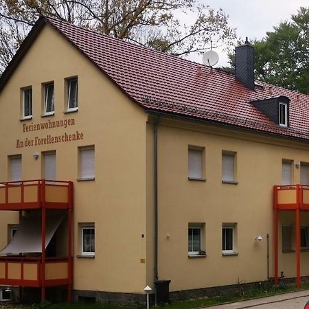 Ferienwohnung Mit Blick Ins Grune Sebnitz Exterior photo