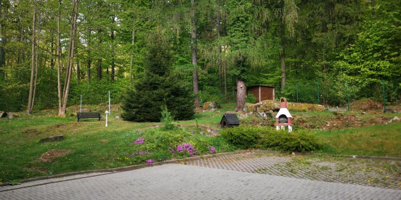Ferienwohnung Mit Blick Ins Grune Sebnitz Exterior photo